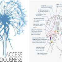 Access Bars